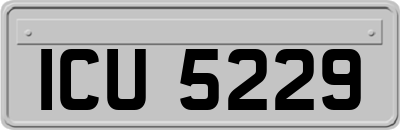 ICU5229