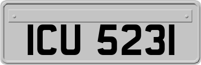 ICU5231