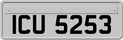 ICU5253