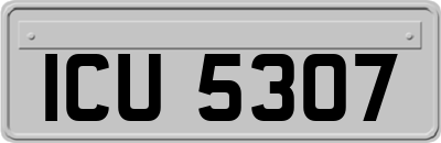 ICU5307