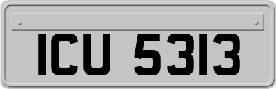 ICU5313