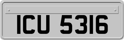 ICU5316