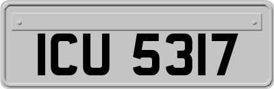 ICU5317