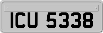 ICU5338