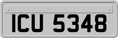 ICU5348