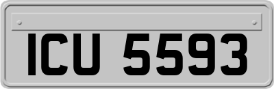 ICU5593