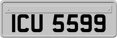 ICU5599