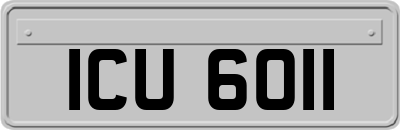 ICU6011