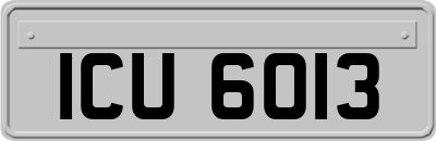ICU6013