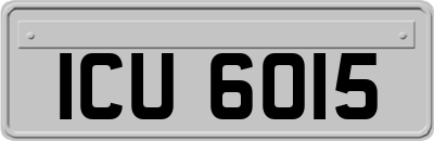 ICU6015