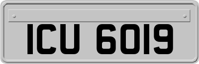 ICU6019