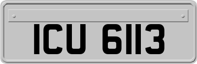 ICU6113