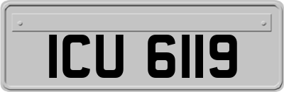 ICU6119