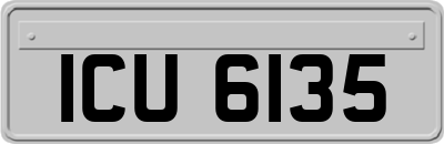 ICU6135
