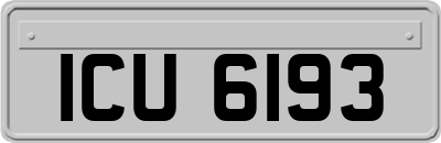 ICU6193