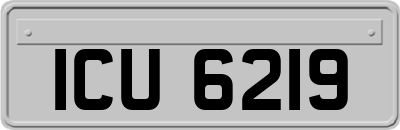 ICU6219