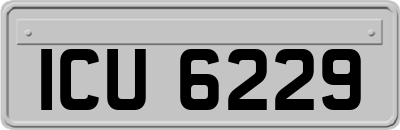 ICU6229