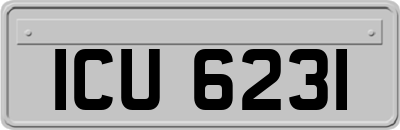 ICU6231