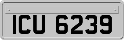 ICU6239