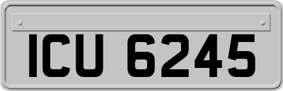 ICU6245