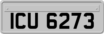 ICU6273