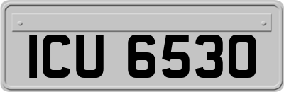 ICU6530