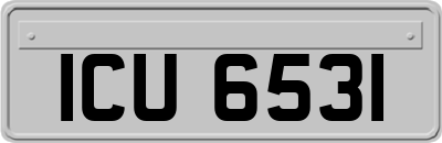 ICU6531