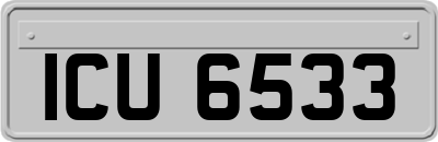 ICU6533