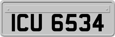 ICU6534