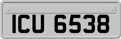 ICU6538