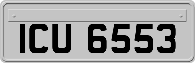 ICU6553