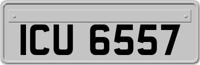 ICU6557