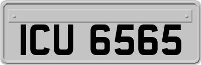 ICU6565