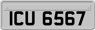 ICU6567