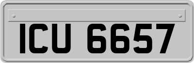 ICU6657