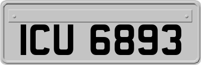 ICU6893