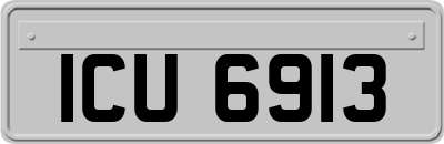 ICU6913