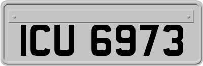 ICU6973