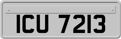 ICU7213