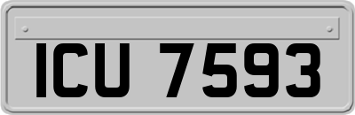 ICU7593