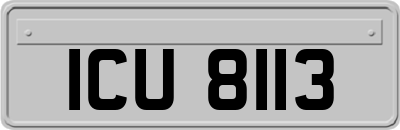 ICU8113