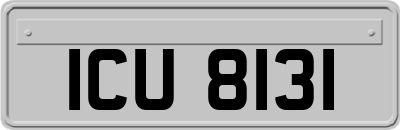 ICU8131