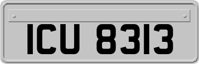 ICU8313