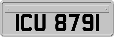 ICU8791