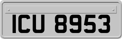 ICU8953