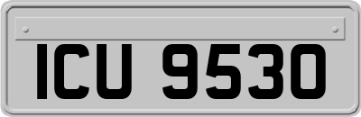ICU9530
