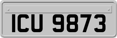 ICU9873