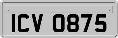ICV0875