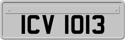 ICV1013