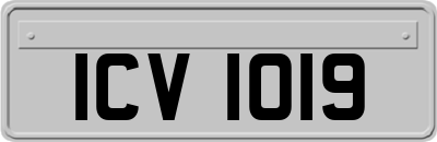 ICV1019